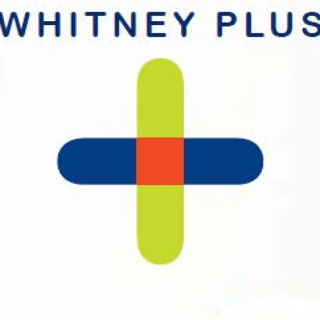 Whitney Plus Art Paper Storage Cabinet^ Art Supply Cabinets|Flat File & Paper Racks