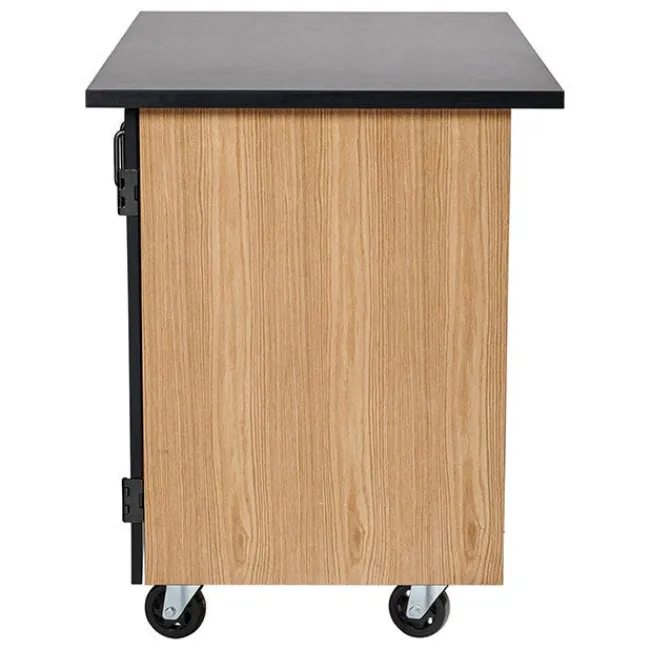 National Public Seating Bin Storage Mobile Science Cabinet with Chem-Res Top (48" x 28")^ Lab Storage|Science Storage