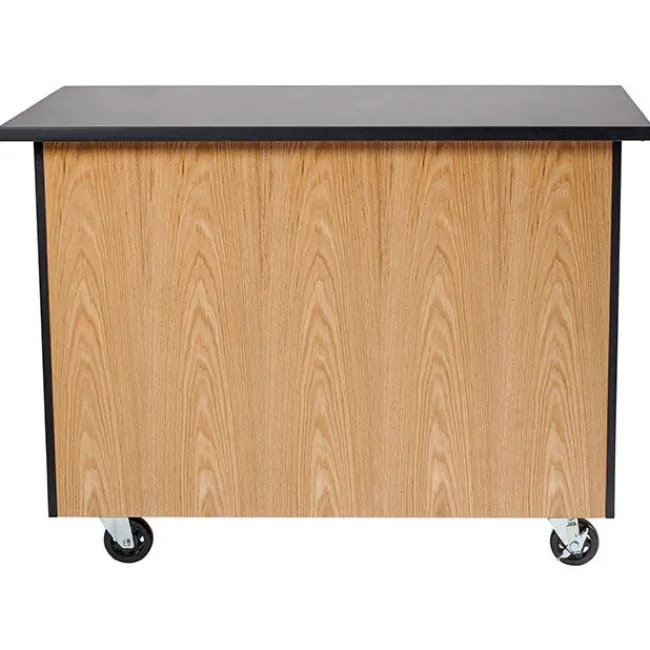 National Public Seating Bin Storage Mobile Science Cabinet with Chem-Res Top (48" x 28")^ Lab Storage|Science Storage