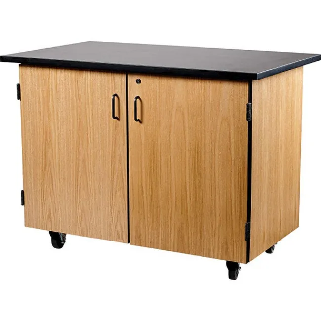 National Public Seating Bin Storage Mobile Science Cabinet with Chem-Res Top (48" x 28")^ Lab Storage|Science Storage