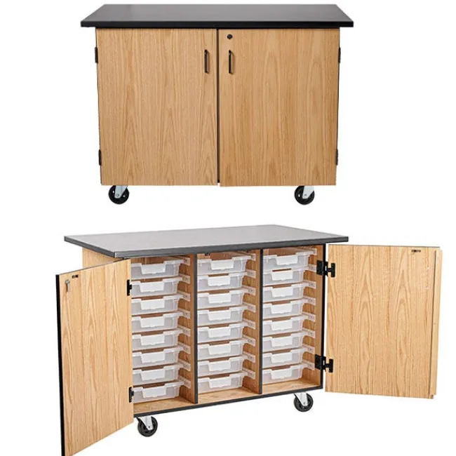 National Public Seating Bin Storage Mobile Science Cabinet with Chem-Res Top (48" x 28")^ Lab Storage|Science Storage