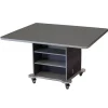 CEF Creation Cube Storage Tables^ Makerspace & Shop|Art Tables