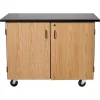 National Public Seating Demo Mobile Science Cabinet with Chem-Res Top (48" x 28")^ Lab Storage|Science Storage