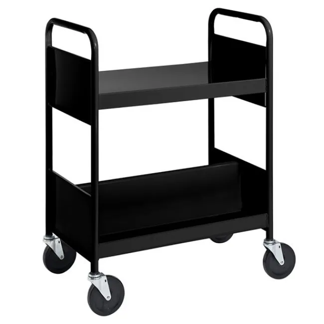 BioFit Double-Sided Book Truck w/ Sloping & Flat Top Shelves - 38"H^ Book Carts