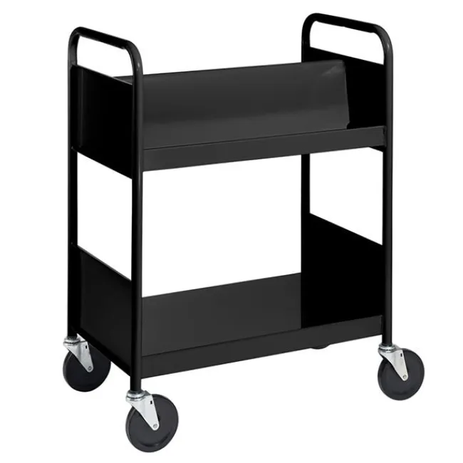 BioFit Double-Sided Book Truck w/ Sloping & Flat Shelves - 38"H^ Book Carts