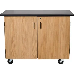 National Public Seating Economy Mobile Science Cabinet with Chem-Res Top (48" x 28")^ Lab Storage|Science Storage