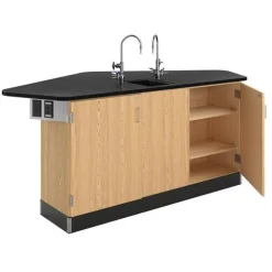 Diversified Spaces Forward Vision 2 School Science Workstations^ Science Workstations