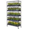 Diversified Spaces Plant Growing Stand^ Hydroponics Systems