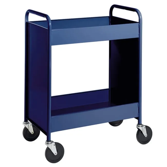 BioFit Two-Shelf Multipurpose Cart - 38"H^ Storage Carts