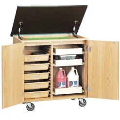 Diversified Spaces Write-N-Roll Mobile Storage Cabinet^ Lab Storage|Mobile Lab Units