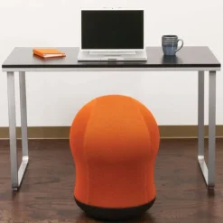 Safco Products Zenergy Swivel Ball Chair^Kids Active Seating|Kids Chairs